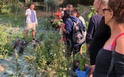 Biodiversités : le patrimoine vivant au jardin gastronomique