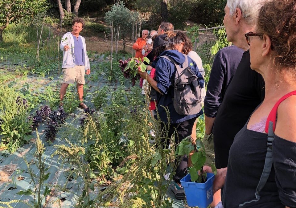 Biodiversités : le patrimoine vivant au jardin gastronomique