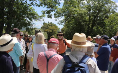 Une visite aux Lauzières à Lourmarin